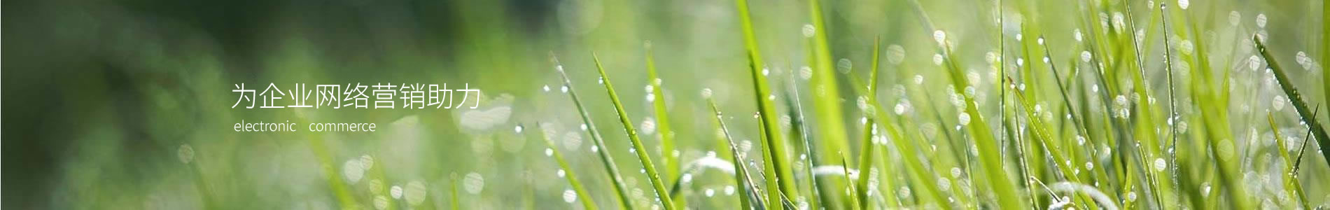 ֵӿƼоԺ